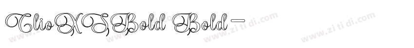 ClioXSBold Bold字体转换